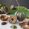 Lotus Naturdeko Arrangements Matériau de bricolage séché Voir les images du produit 3