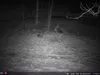 Outdoor Wildlife Hunting Trail und Wildkamera OXE Spider Produktbild-Vorschau 42