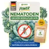Green Guardia Nematoden gegen Kohlfliegen – 3 Mio. - Produktbild-Vorschau 1