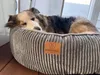 Hundebett Orthopädisches Premium Hundebett, flauschig Produktbild-Vorschau 2