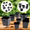 KADAX Blumentopf für Setzlinge "Corse", Anzuchttöpfe aus Produktbild-Vorschau 4