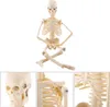 1szt ludzki model anatomiczny szkieletu Medyczne narzędzie Podgląd zdjęcia produktu 5
