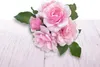 AIRWICK Duftöl Beruhigende Rose fruchtig Náhled obrázku produktu 8