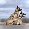 Imbracatura tattica per cani Unyqoos® X-Destroyer – Anteprima dell’immagine prodotto 12
