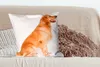 MuchoWow® Zierkissen Sofakissen Wohnzimmer Dekokissen 60x60 Produktbild-Vorschau 4