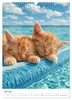 Spaß mit Katzen (Wandkalender 2027 DIN A3 hoch), CALVENDO Produktbild-Vorschau 10