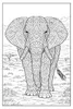 Mandala Tiere Malbuch für Erwachsene mit 50 schönen Produktbild-Vorschau 8