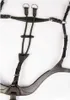 Harry's Horse Deluxe Breastplate Black Cob Black Cob Náhled obrázku produktu 2