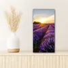 MuchoWow® - Leinwandbilder - Lavendel - Blumen - Produktbild-Vorschau 6