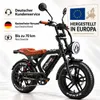 APE RYDER Genon Ultra E-Bike 20 Zoll Fatbike, 250W Motor, Produktbild-Vorschau 1