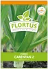Lauch-Porree Carentan 2 | Lauchsamen von FLORTUS Produktbild-Vorschau 1