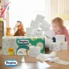Regina, Rumiankowe Papier toaletowy, 16 rolek Podgląd zdjęcia produktu 8