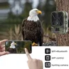 WLAN Wildkamera Secutek SST-WiFi940Pro - 36MP, 4K Produktbild-Vorschau 7