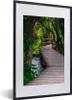 MuchoWow® Gerahmtes Poster Wald - Natur - Brücke 40x60 cm - Produktbild-Vorschau 1