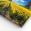 Bild auf Leinwand - Leinwandbild - Einteilig - Tulpen Produktbild-Vorschau 5
