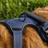 Pettorina anti-tiro per cani Belviona, pettorina a Y Anteprima dell’immagine prodotto 3