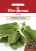 Salbei | Salbeisamen von Dürr Samen Produktbild-Vorschau 3