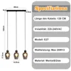 A diagram showing the dimensions of a pendant light fixture and a list of its specifications. Produktbild-Vorschau