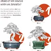 Bonsai Schale aus Keramik mit Untersetzer in Grau - Bonsai Produktbild-Vorschau 8