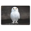 MuchoWow® Schreibtischunterlage Schneeeule 60x40 cm - XXL Produktbild-Vorschau 1