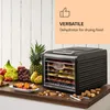 A food dehydrator is shown on a wooden counter surrounded by fresh fruits, dried fruits, and nuts. Náhľad obrázku produktu