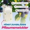 Gerobug Pflaumenwicklerfalle Pheromonfalle 2 Stk. - Produktbild-Vorschau 2