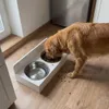 STANTINO con CIOTOLE doppio supporto per cane in legno Anteprima dell’immagine prodotto 3