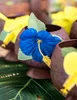 Tazza di cocco Hawaii marrone - Taglia unica Anteprima dell’immagine prodotto 4