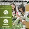 GreenPanda Acker-Schachtelhalm Jauche/Sud 3 Liter -  Dünger Produktbild-Vorschau 2