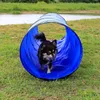 tunnel di gioco per cani lionto, tunnel di agilità stabile Anteprima dell’immagine prodotto 11