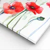 Bild auf Leinwand - Leinwandbild - Blume Mohn Wiese - Produktbild-Vorschau 5