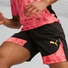 Puma Individualfinal Ff. Shorts 65926657 Herren Produktbild-Vorschau 4