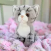 Doudou chat Animigos Voir les images du produit 1