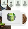 Selleriesamen (Tall Utah, 250 Korn) - Staudensellerie Produktbild-Vorschau 4