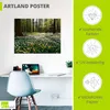 ARTland Poster Frühlingswald bedeckt mit Windröschen Größe: Produktbild-Vorschau 3