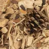 L'ambiance de la forêt sur la litière Voir les images du produit 3