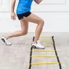 Tréninkový agility žebřík 3 m, koordinační žebřík na Náhled obrázku produktu 5