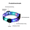 Führleine Halsband,Led-Leine, USB stark und verschleißfest Produktbild-Vorschau 2
