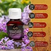 DaniChou Heavenly Harmony Massageöl Set | 4x50 ml | Produktbild-Vorschau 3