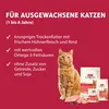 Animonda Carny Cat - Adulte Poulet & Bœuf 1,75kg Voir les images du produit 2