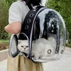 A person is carrying a pet carrier backpack with a cat inside. Voir les images du produit