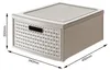 Rotho Schubladenbox 1149422422 Produktbild-Vorschau 5
