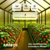 AREBOS Plaques en polycarbonate, lot de 10, chambre creuse Voir les images du produit 4
