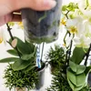 Kolibri Home - Einlage mit Wasserreservoir für Produktbild-Vorschau 6