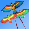 Rote Papageien Drachen, 110x50cm Kinder Drachen mit 50m Produktbild-Vorschau 3