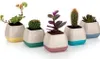 Zestaw 4 kwadratowych doniczek Cactus, kolorowe doniczki Podgląd zdjęcia produktu 6