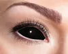 Zoelibat Eyecatcher Sclera 6 Monats-Kontaktlinsen Black Eye Produktbild-Vorschau 16