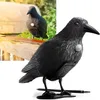 Realistische Vogelabwehr Krähe mit Sound: Produktbild-Vorschau 6