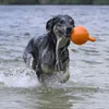 Beeztees Apportino Ball - Hundespielzeug - orange - Produktbild-Vorschau 5