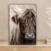 MuchoWow® - Leinwandbilder - Schottischer Highlander - Produktbild-Vorschau 2